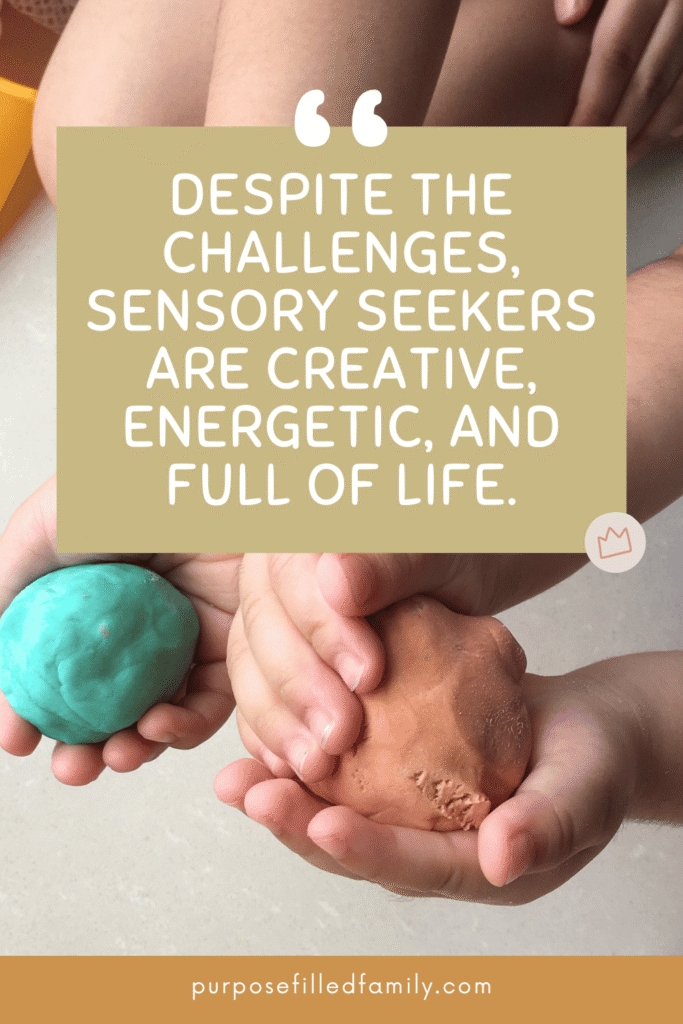 image with quote text overlay about how to support a sensory seeker