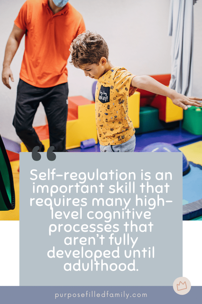 image with quote overlay about sensory seeker support